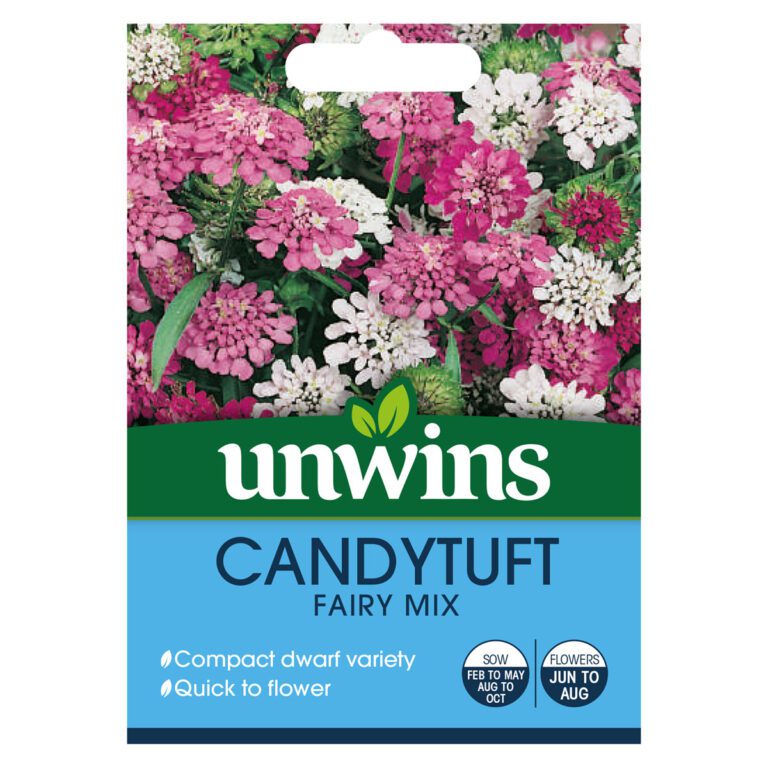 5051618010474 1 Candytuft Dwarf Fairy Mixed Seeds.jpg